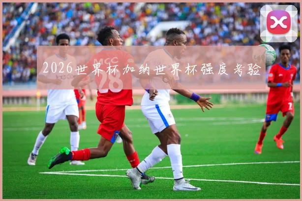 2026世界杯加纳世界杯强度考验