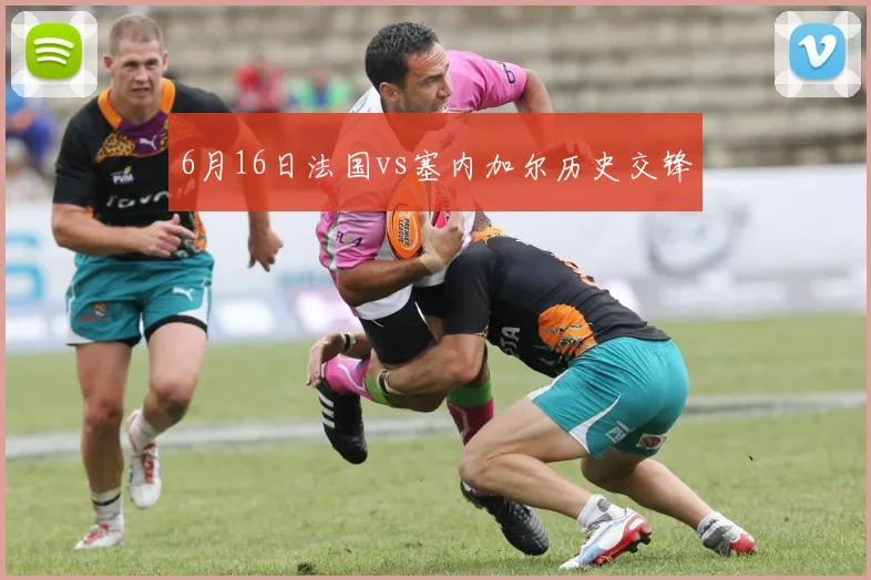 6月16日法国vs塞内加尔历史交锋